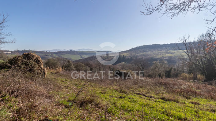 Image No.19-Maison de campagne de 3 chambres à vendre à Castiglione in Teverina