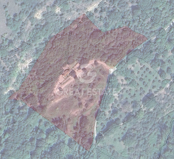 Image No.2-floorplan-2