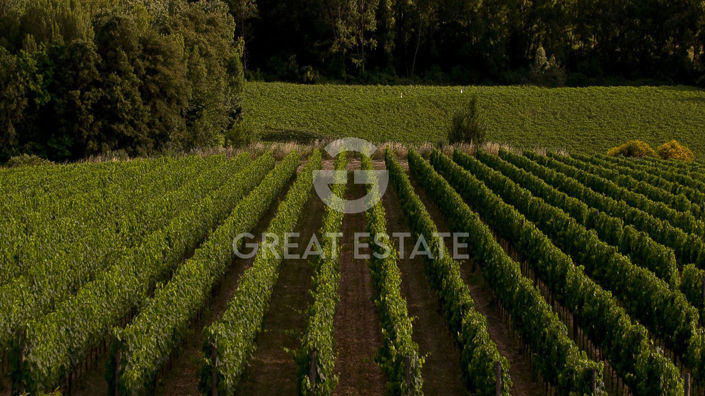 Image No.11-3 Bed Country House for sale