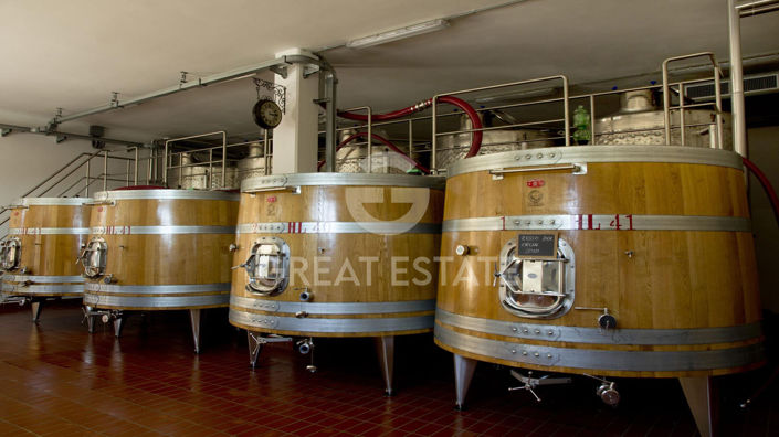 Image No.17-3 Bed Country House for sale