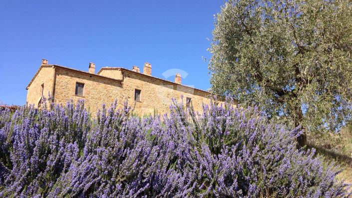 Image No.3-3 Bed Country House for sale