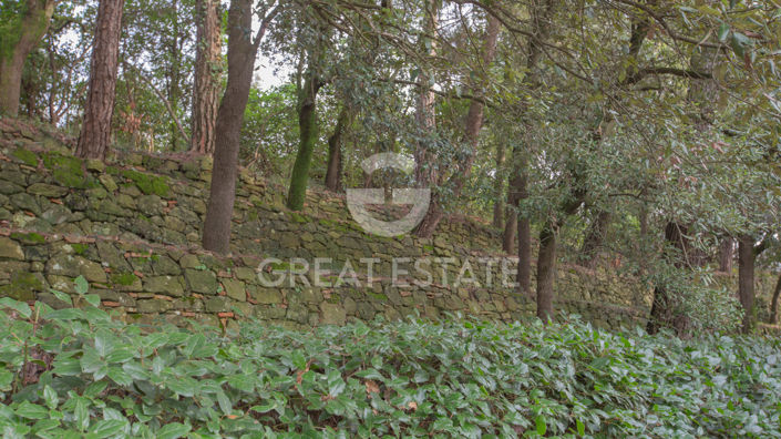 Image No.11-Maison de campagne de 8 chambres à vendre à Piegaro