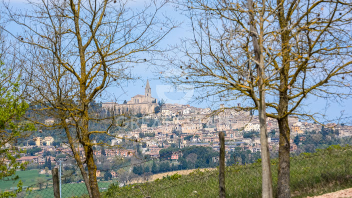 Image No.25-3 Bed Country House for sale