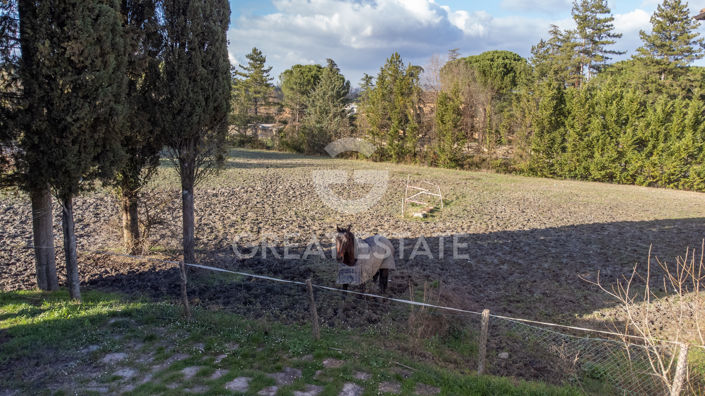 Image No.19-7 Bed Country House for sale