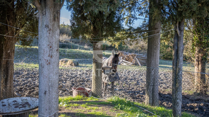 Image No.20-7 Bed Country House for sale