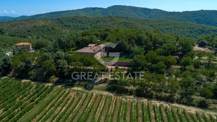 Image No.17-8 Bed Country House for sale