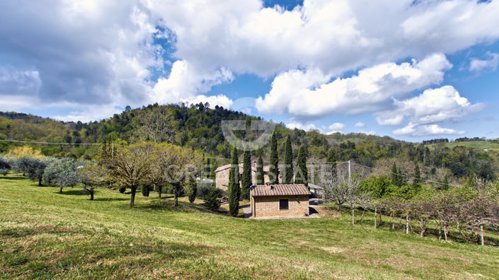 Image No.8-Maison de campagne de 6 chambres à vendre à Chianni