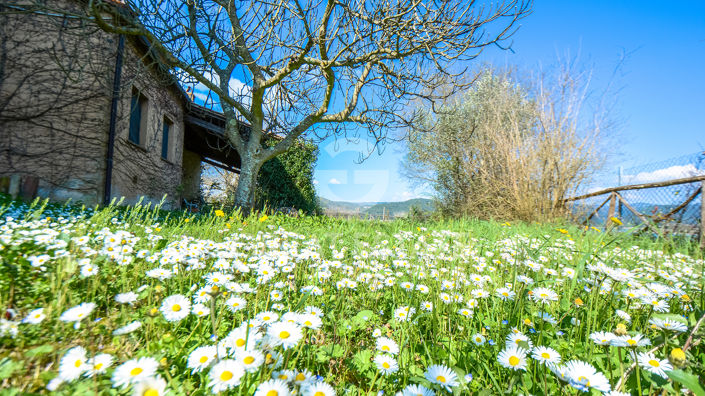 Image No.26-4 Bed Country House for sale