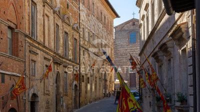 Photo_3
