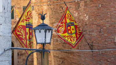 Photo_7