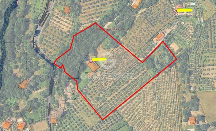 Image No.3-floorplan-3