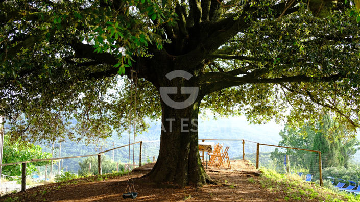 Image No.30-Maison de campagne de 12 chambres à vendre à Pomarance