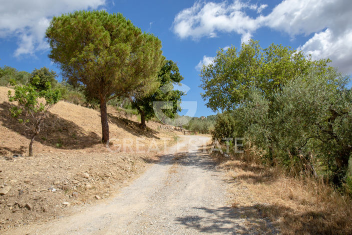 Image No.24-3 Bed Country House for sale