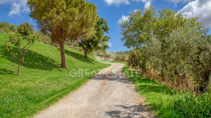 Image No.23-3 Bed Country House for sale