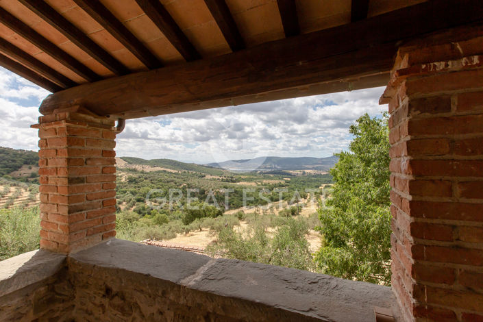 Image No.50-3 Bed Country House for sale