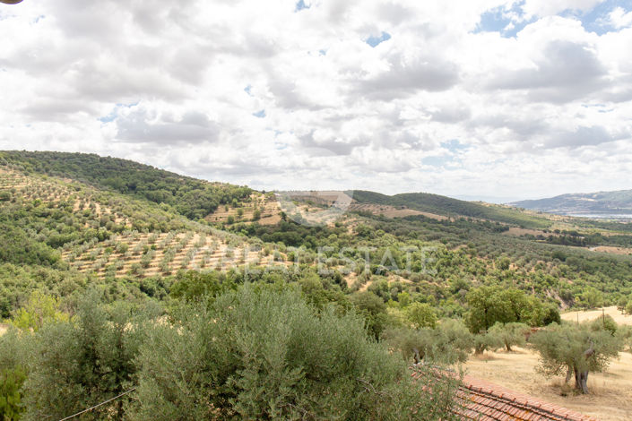 Image No.52-3 Bed Country House for sale