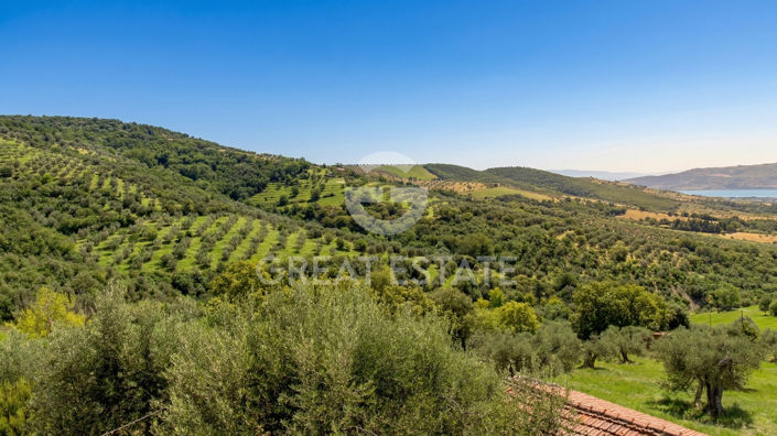 Image No.51-3 Bed Country House for sale