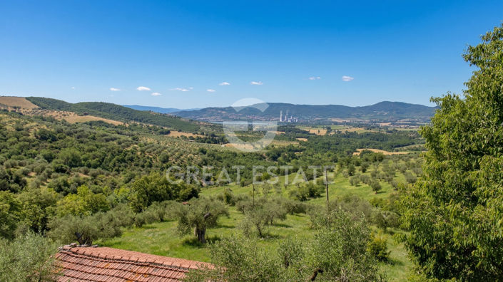 Image No.52-3 Bed Country House for sale