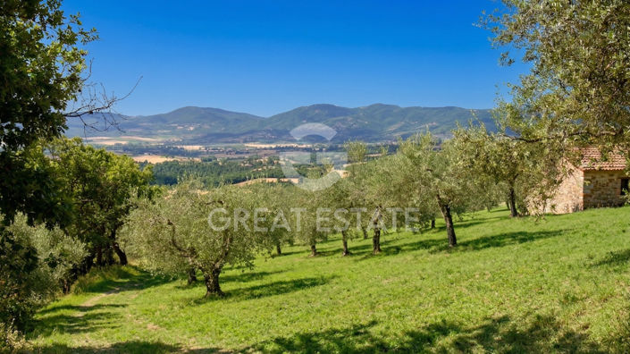 Image No.55-3 Bed Country House for sale