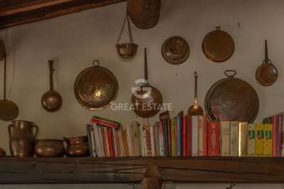 Photo_6