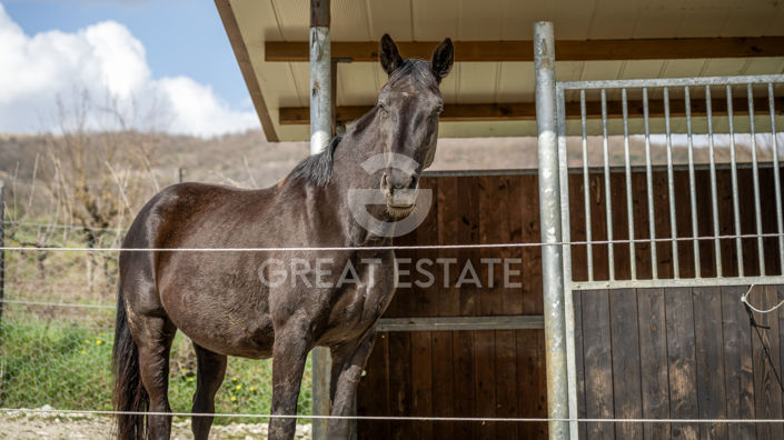 Image No.13-Maison de campagne de 4 chambres à vendre à Castèl Focognano