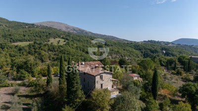 Photo_14