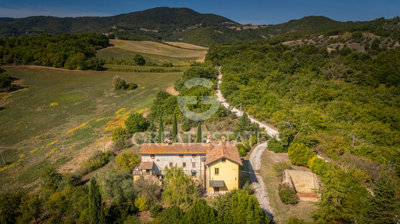 Photo_3