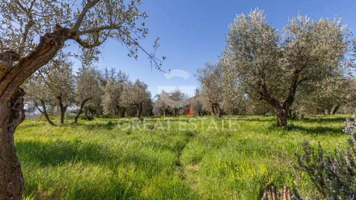 Image No.25-3 Bed Country House for sale