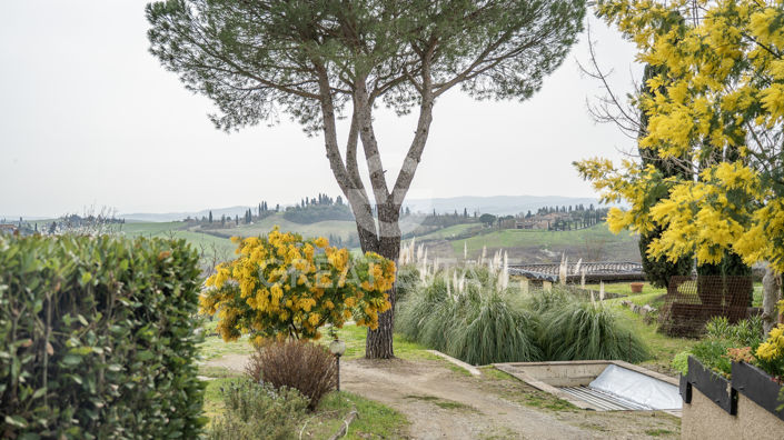 Image No.17-4 Bed Country House for sale