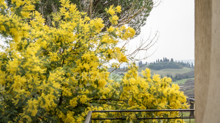 Image No.18-4 Bed Country House for sale