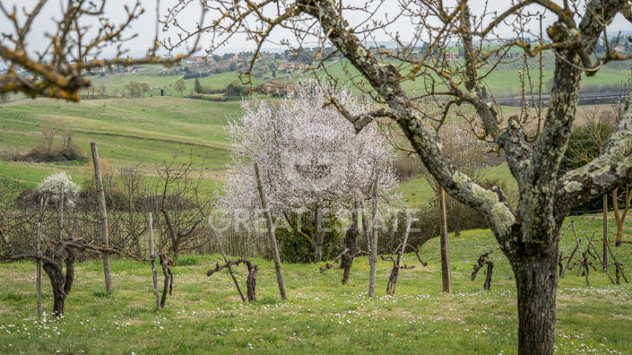 Image No.19-4 Bed Country House for sale