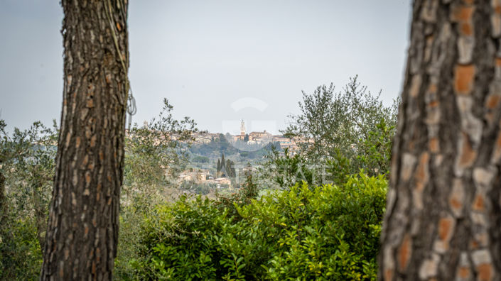 Image No.53-4 Bed Country House for sale