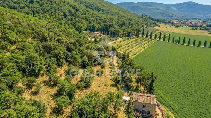 Image No.21-Maison de campagne de 14 chambres à vendre à Corciano