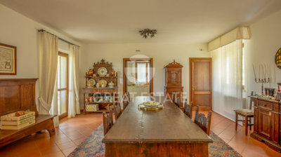 Photo_5