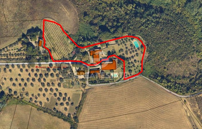Image No.2-floorplan-2
