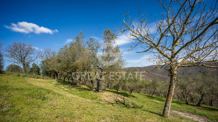 Image No.21-Maison de campagne de 4 chambres à vendre à Umbertide