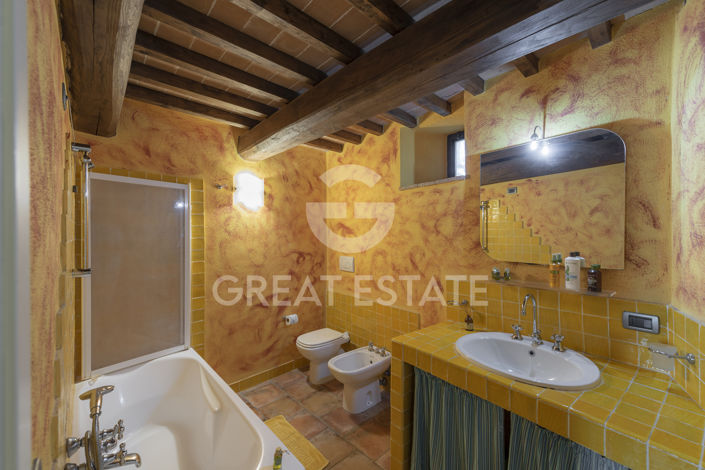 Image No.37-12 Bed Country House for sale