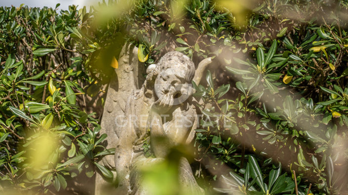 Image No.43-8 Bed Country House for sale