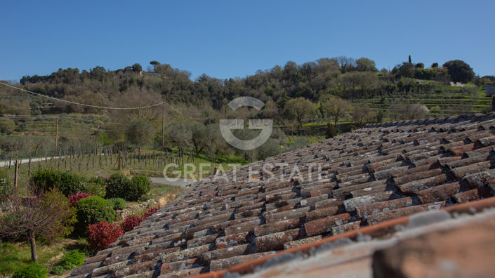 Image No.19-4 Bed Country House for sale