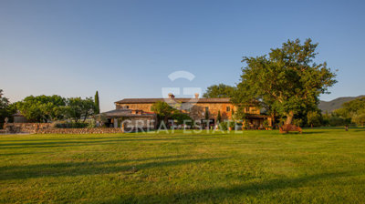 Photo_9