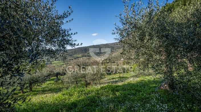 Image No.35-3 Bed Country House for sale