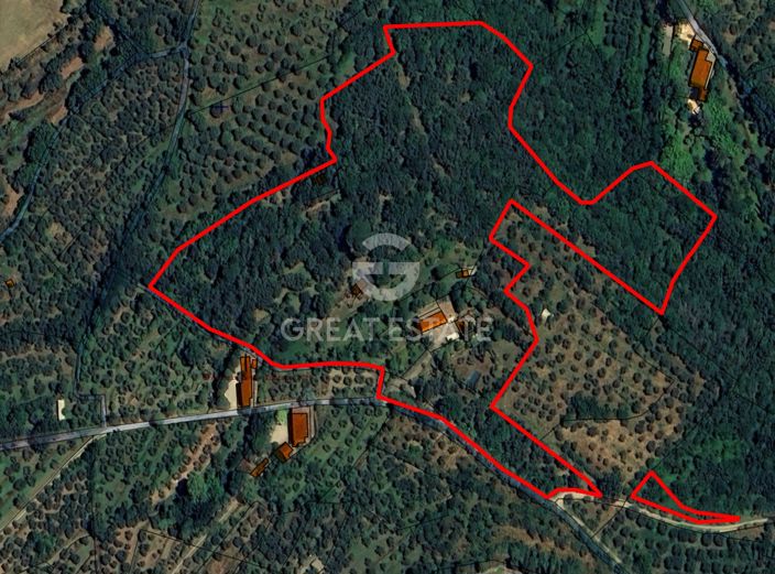 Image No.2-floorplan-2