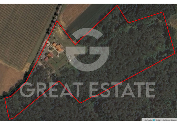 Image No.2-floorplan-2