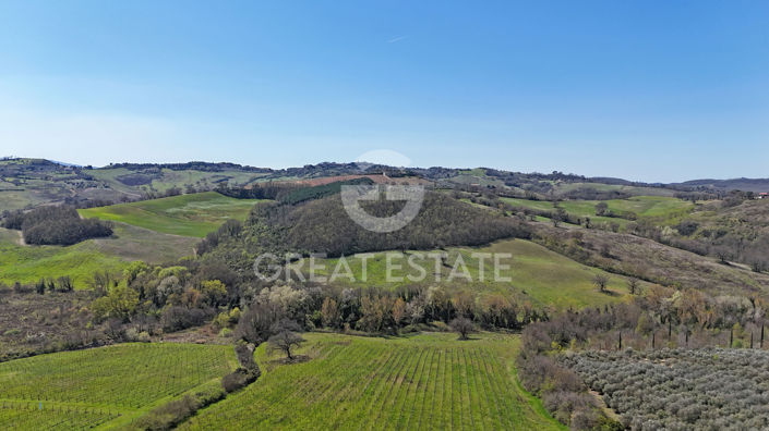 Image No.39-4 Bed Vineyard for sale