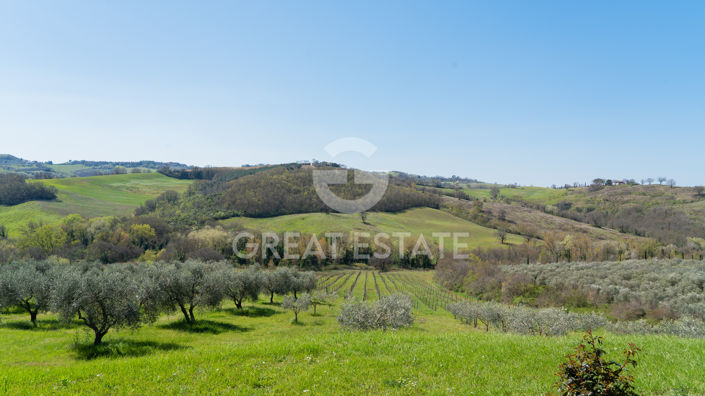 Image No.41-4 Bed Vineyard for sale