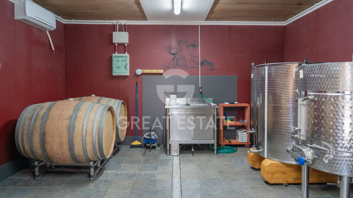 Image No.43-4 Bed Vineyard for sale