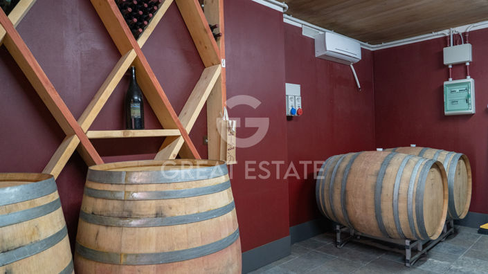 Image No.44-4 Bed Vineyard for sale