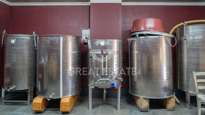 Image No.45-4 Bed Vineyard for sale