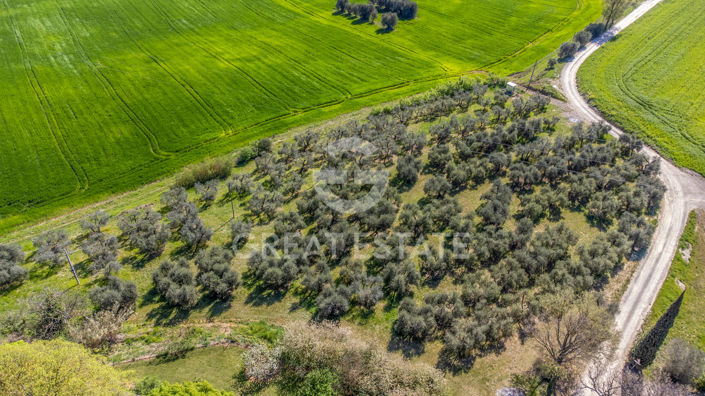 Image No.16-12 Bed Country House for sale