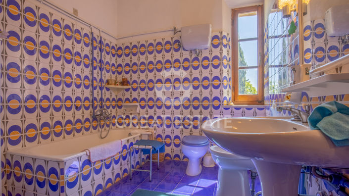 Image No.36-12 Bed Country House for sale